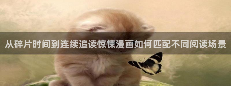 免费漫画在线阅读入口