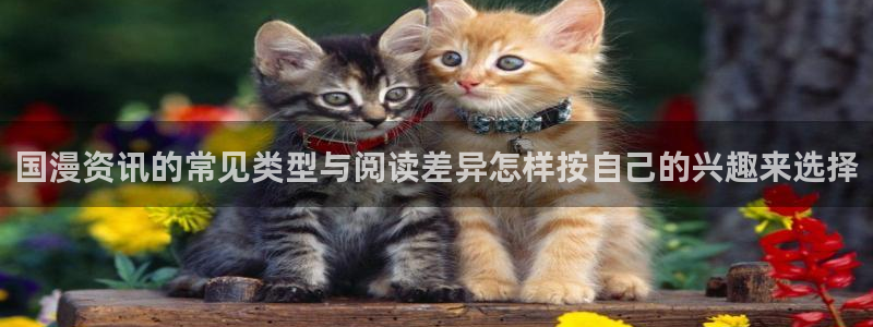 免费漫画漫画入口