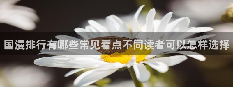 免费漫画更新大全