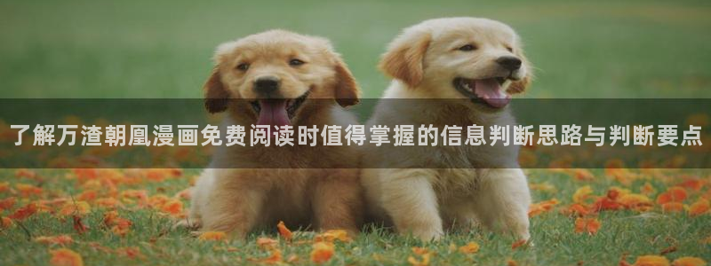 免费漫画热门作品榜